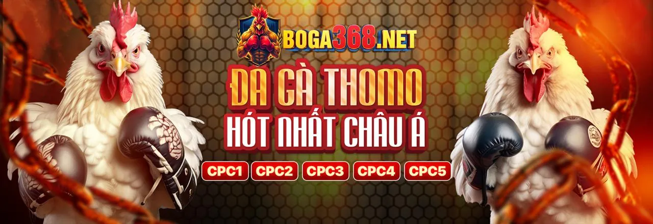 Khuyến mãi đá gà Alo789